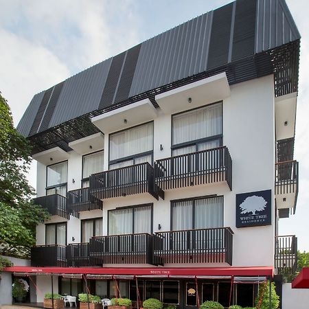 White Tree Residence Jakarta Buitenkant foto